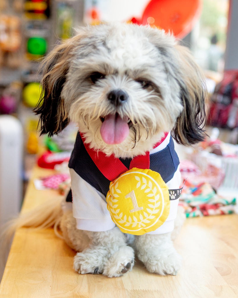 Doglympic Gold Medal Dog Toy PLAY PAWSTORY   