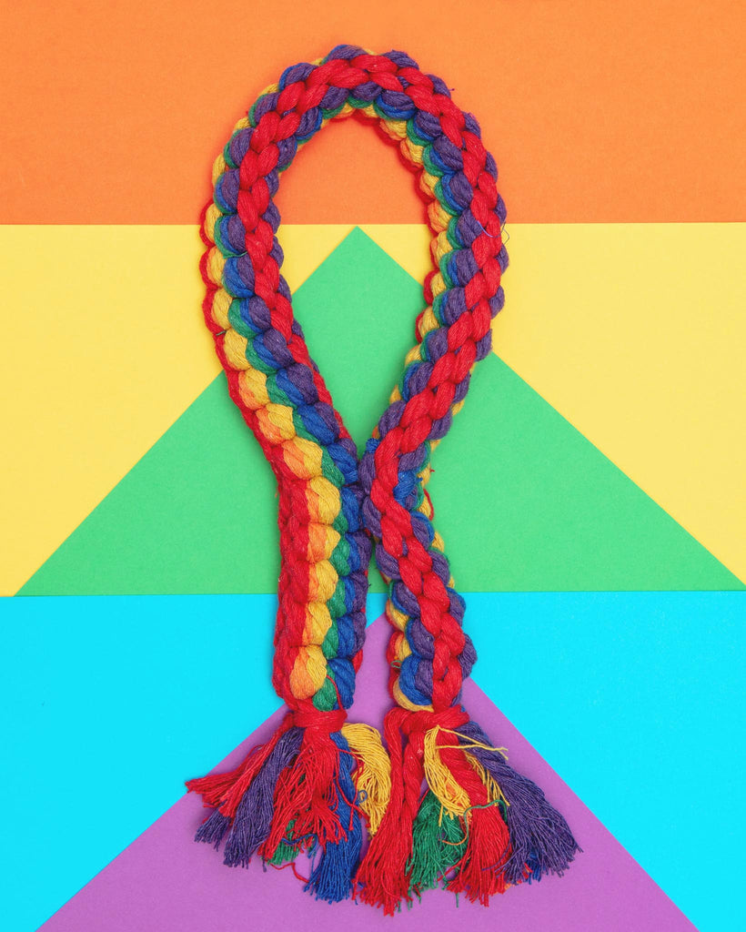 Rainbow Rope Dog Toy Play JAX & BONES   