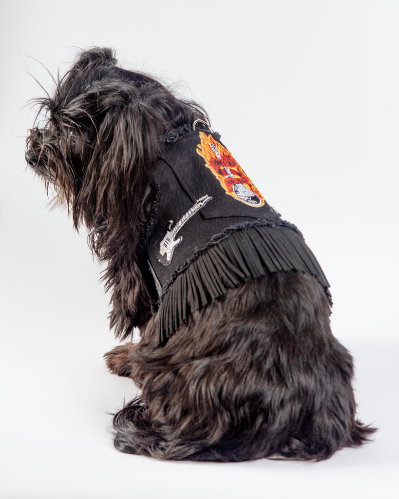 Black Denim Cowboy Dog Harness (Made in the USA) WALK HEADS OR TAILS PUP   