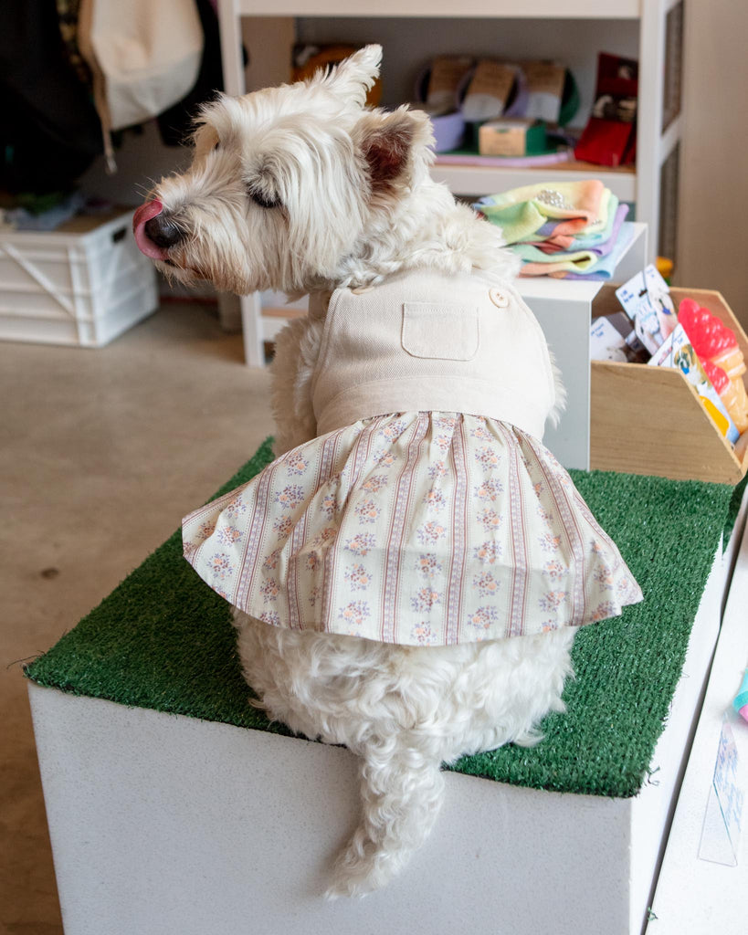 New Cute Pet Clothes Dog Cute Denim Skirt Pet Summer And Autumn Dress  Princess Style Dog Dresses | Check Out Today's Deals Now | Temu