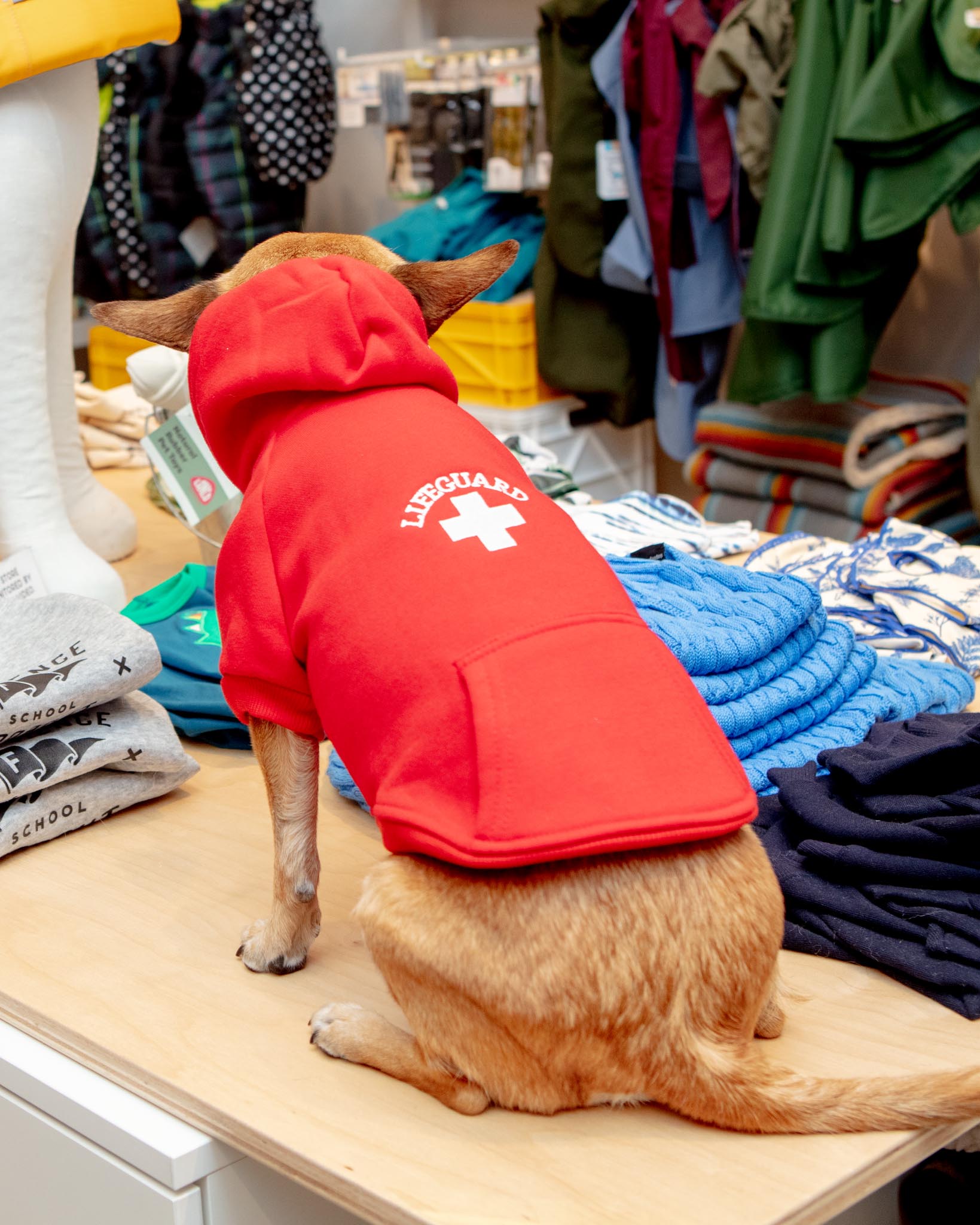 CHLOE AND MAX Lifeguard Dog Hoodie in Red DOG CO