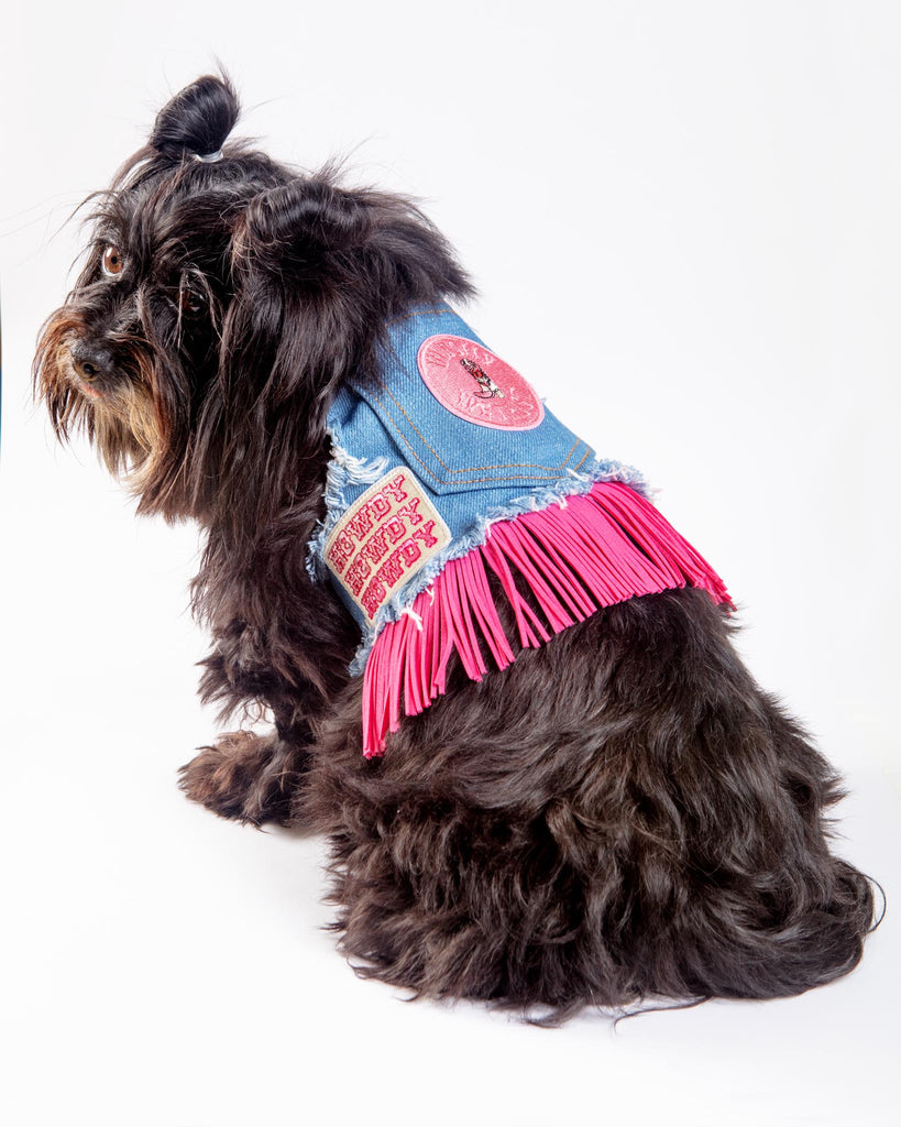 Denim Cowgirl Dog Harness (Made in the USA) (FINAL SALE) WALK HEADS OR TAILS PUP   