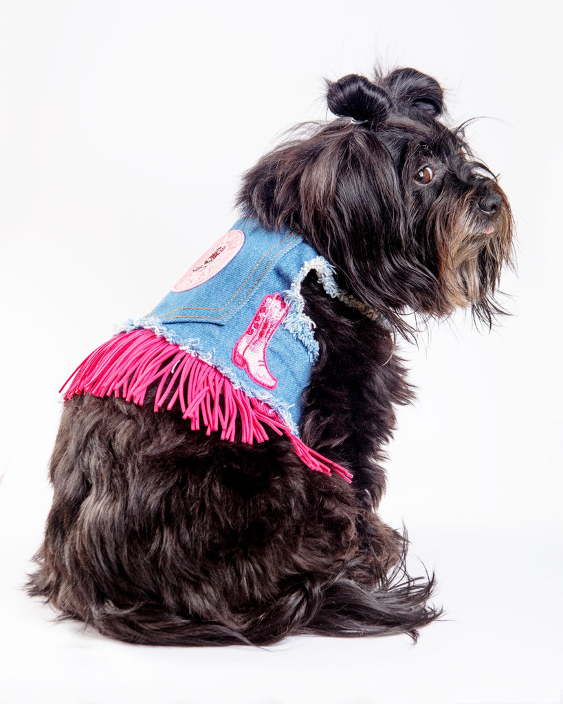 Denim Cowgirl Dog Harness (Made in the USA) WALK HEADS OR TAILS PUP   