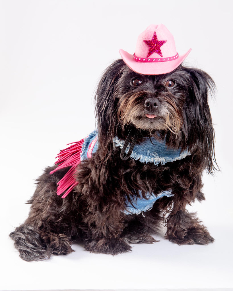 Cowboy Hat for Dogs in Black or Pink Wear HEADS OR TAILS PUP   