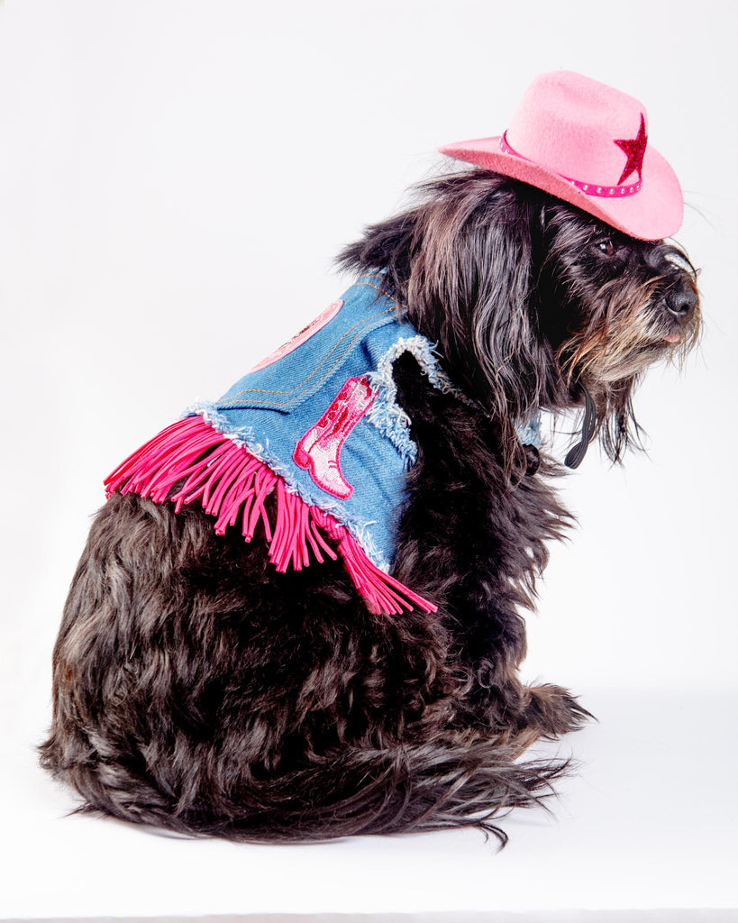 Denim Cowgirl Dog Harness (Made in the USA) (FINAL SALE) WALK HEADS OR TAILS PUP   