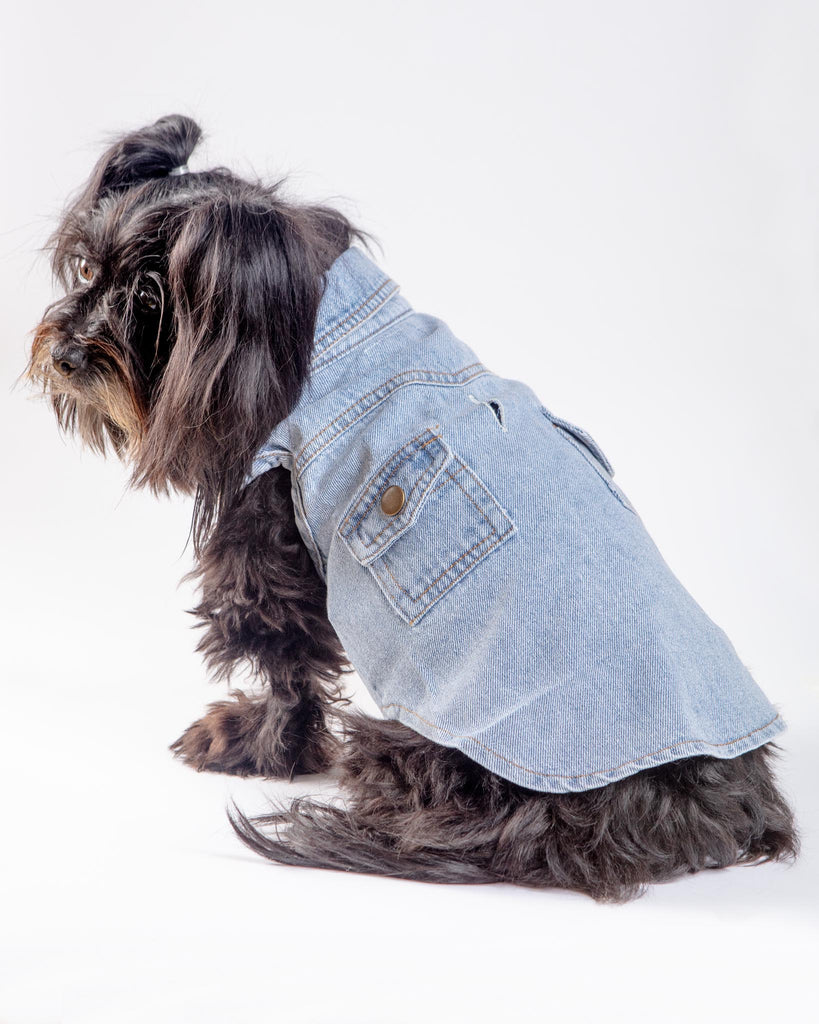 Maverick Denim Dog Shirt (FINAL SALE) Wear GIGI'S USA   