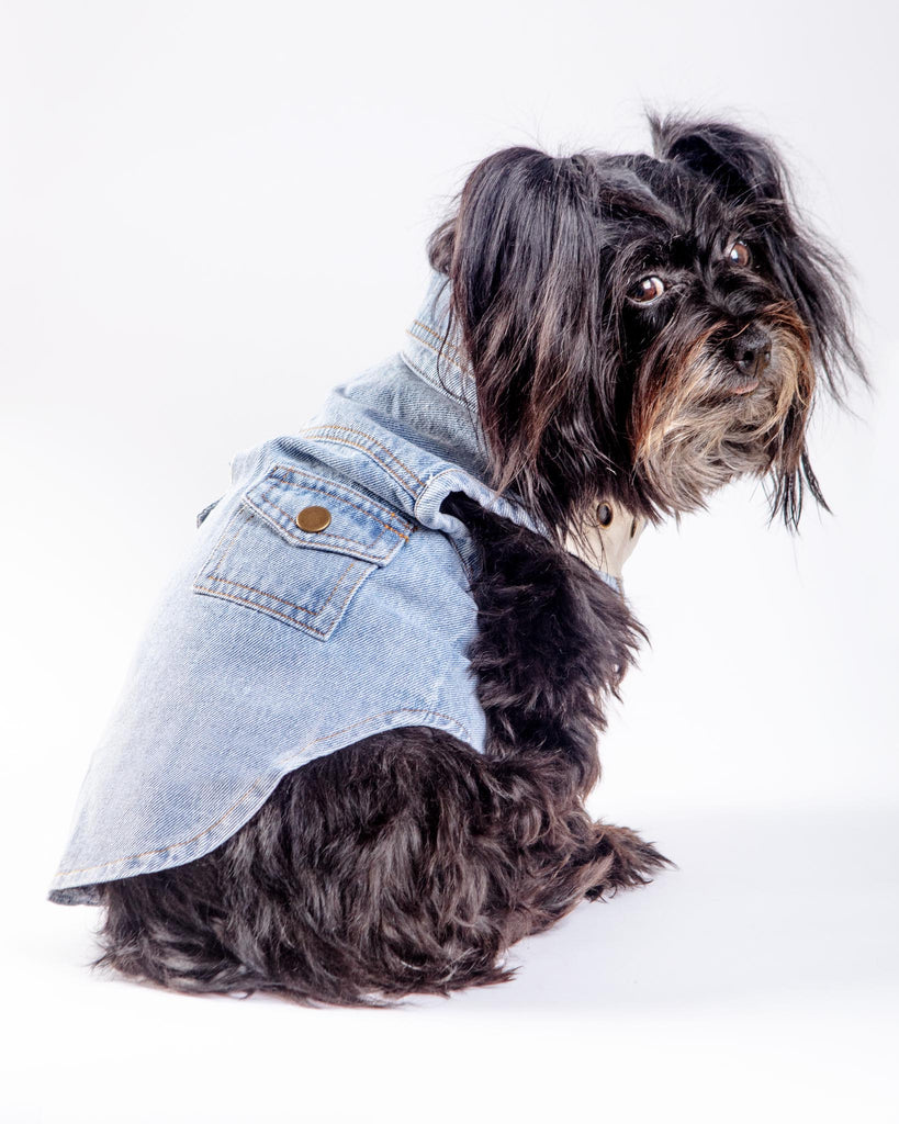 Maverick Denim Dog Shirt Wear GIGI'S USA   