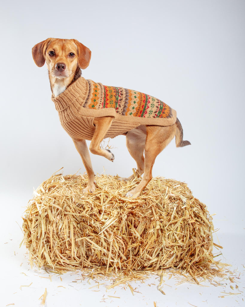 Fair Isle Finn Alpaca Dog Sweater Wear ALQO WASI   