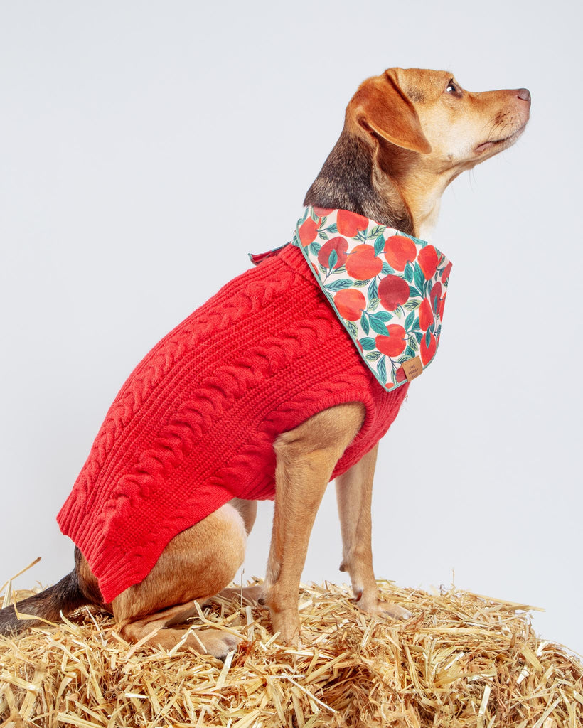 Classic Cable Dog Turtleneck Sweater in Red Wear DOGO   