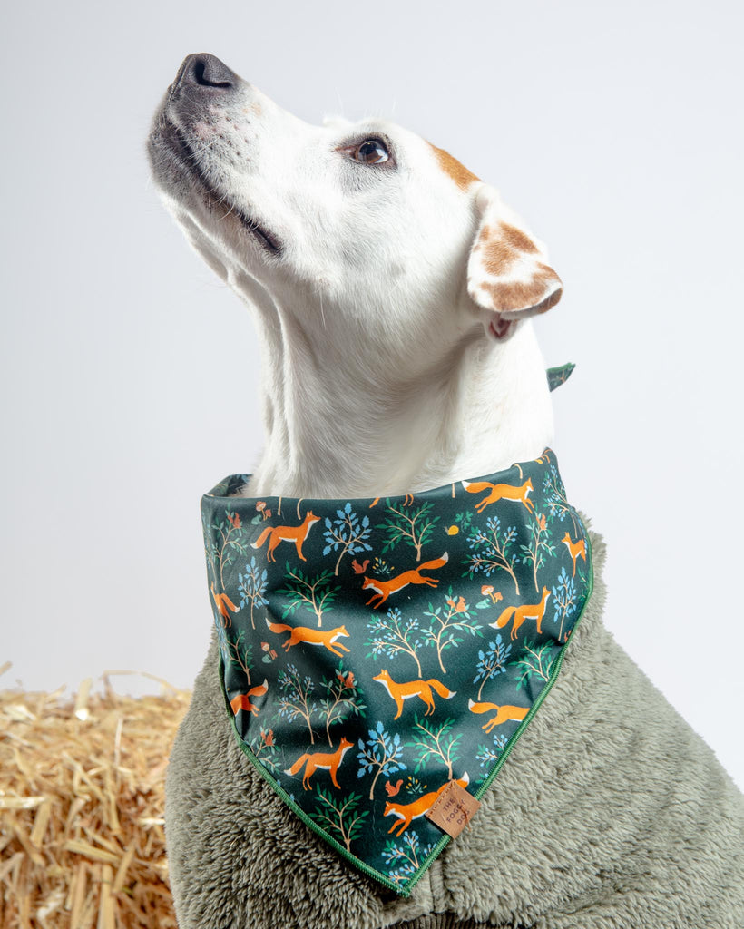 Woodland Fox Dog Bandana (Made in the USA) Wear THE FOGGY DOG   