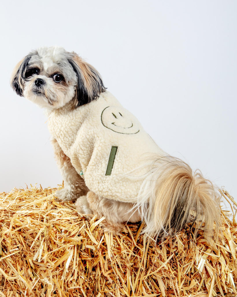 Reversible Nara Jacket for Dogs Wear FUZZYARD   