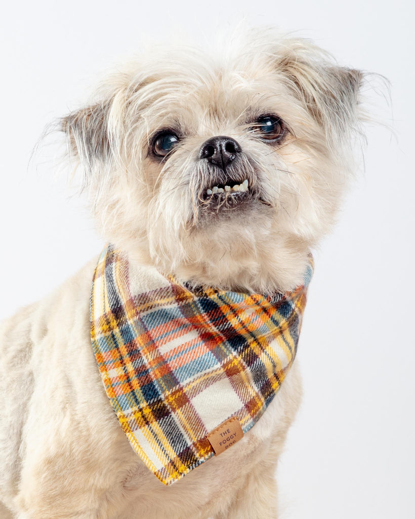 Cornucopia Flannel Fall Dog Bandana (Made in the USA) Wear THE FOGGY DOG   