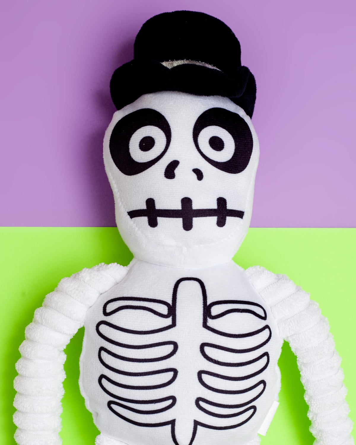 GIFTABLE WORLD | Spooky Skeleton Squeaky Dog Toy | DOG & CO.