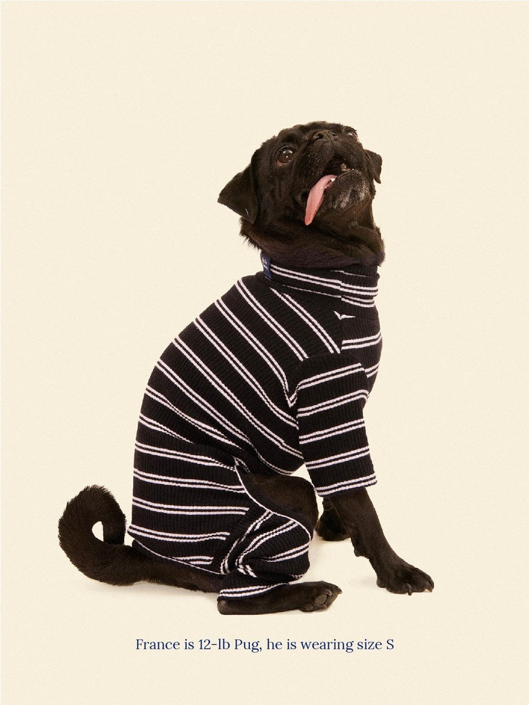 Midnight in Paris Dog Onesie (FINAL SALE) Wear LITTLE BEAST