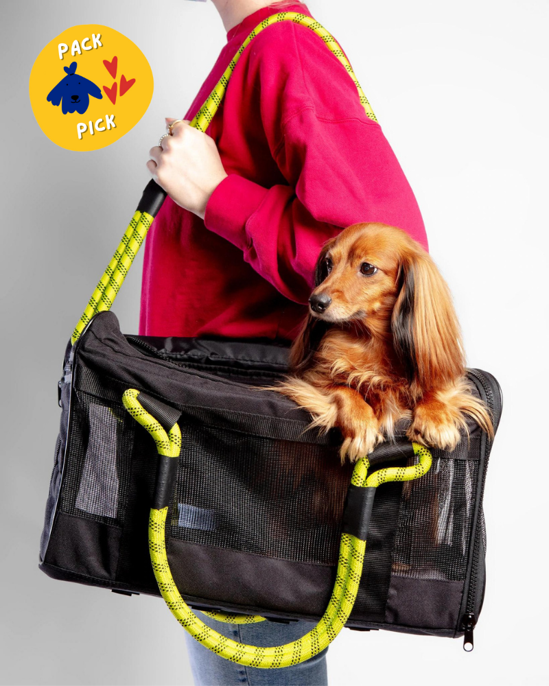 Out-Of-Office Airline Compliant Pet Carrier in Black w/ Neon Yellow (Pro Edition) Carry ROVERLUND