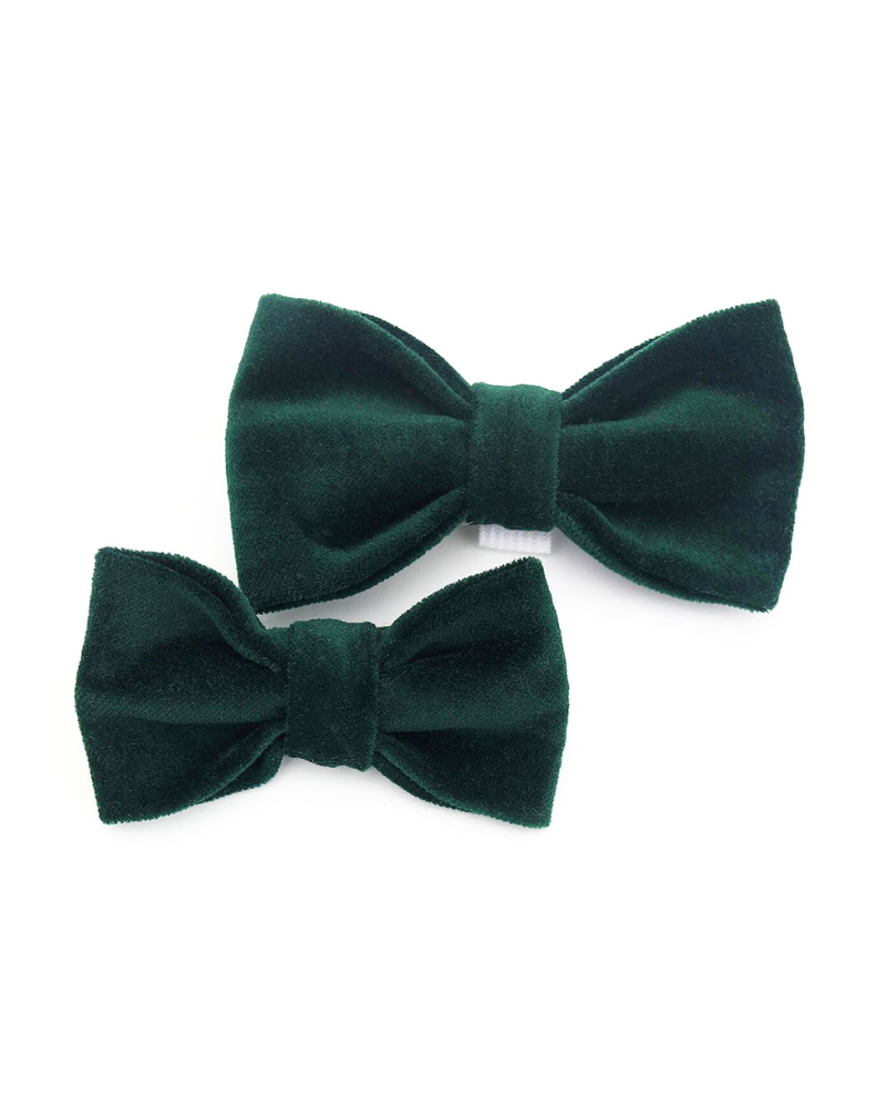 Forest Velveteen Bow Tie for Dogs (Made in the USA) Wear MIMI GREEN   