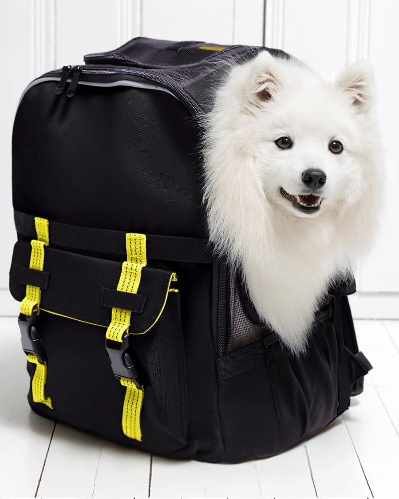 Ready-For-Adventure Pet Backpack in Black (Airline Compliant) Carry ROVERLUND