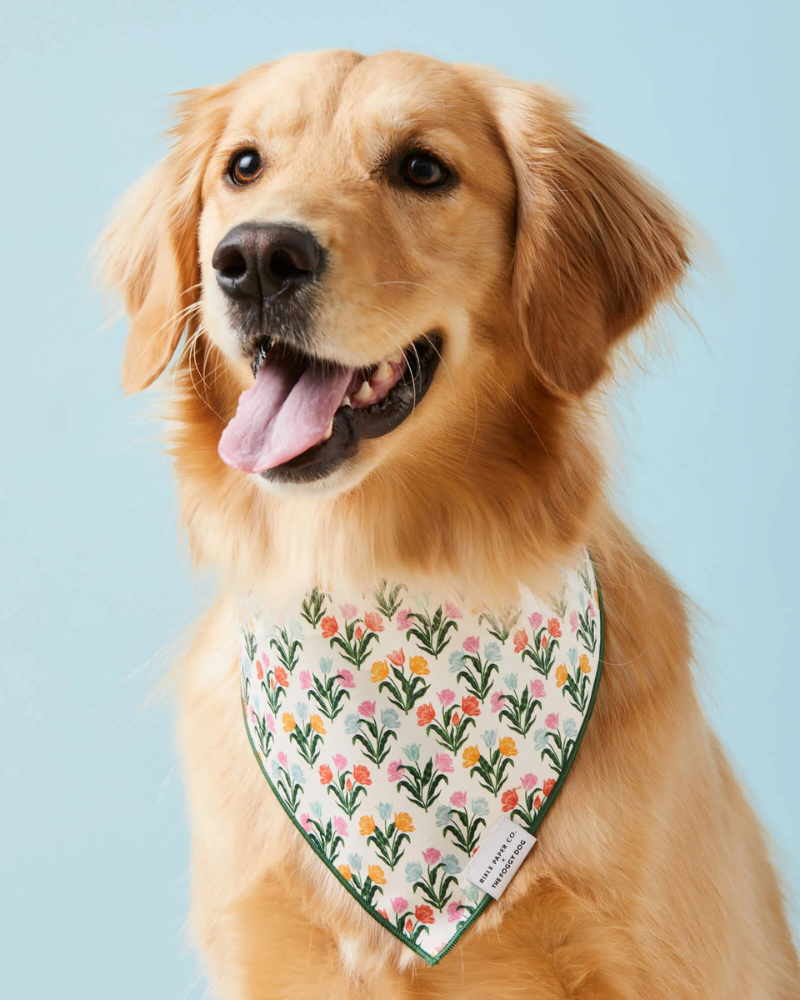 Rifle Paper Co. X TFG Tulips Spring Dog Bandana (Made in the USA) Wear THE FOGGY DOG