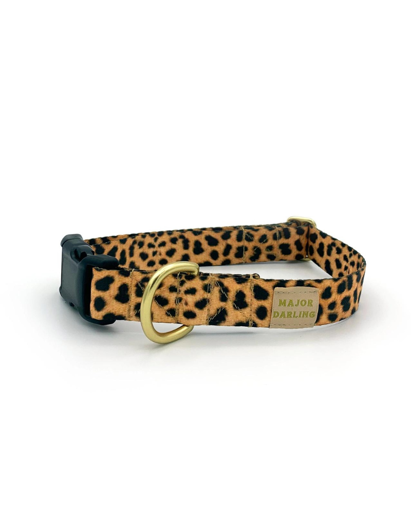 Side-Release Buckle Dog Collar in Leopard WALK MAJOR DARLING   