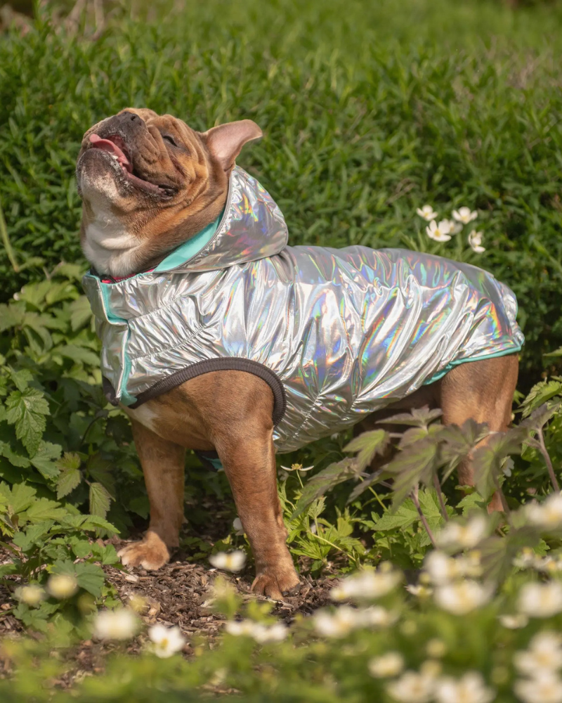 Reversible Waterproof Dog Raincoat in Iridescent Wear GF PET