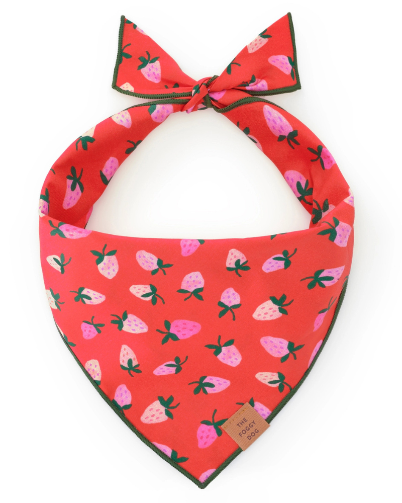 Berry Sweet Dog Bandana (Made in the USA) Wear THE FOGGY DOG