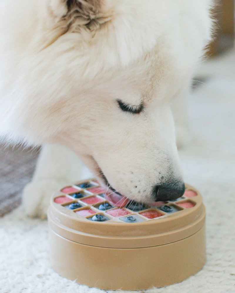 3-in-1 Bento Elevated Slow Feeder + Lick Mat in Dune Eat LAMBWOLF COLLECTIVE