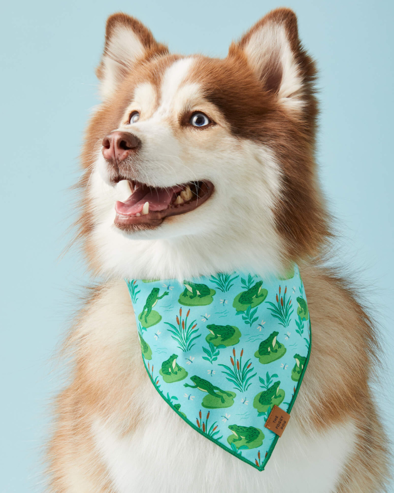 Frog Pond Spring Dog Bandana (Made in the USA) Wear THE FOGGY DOG