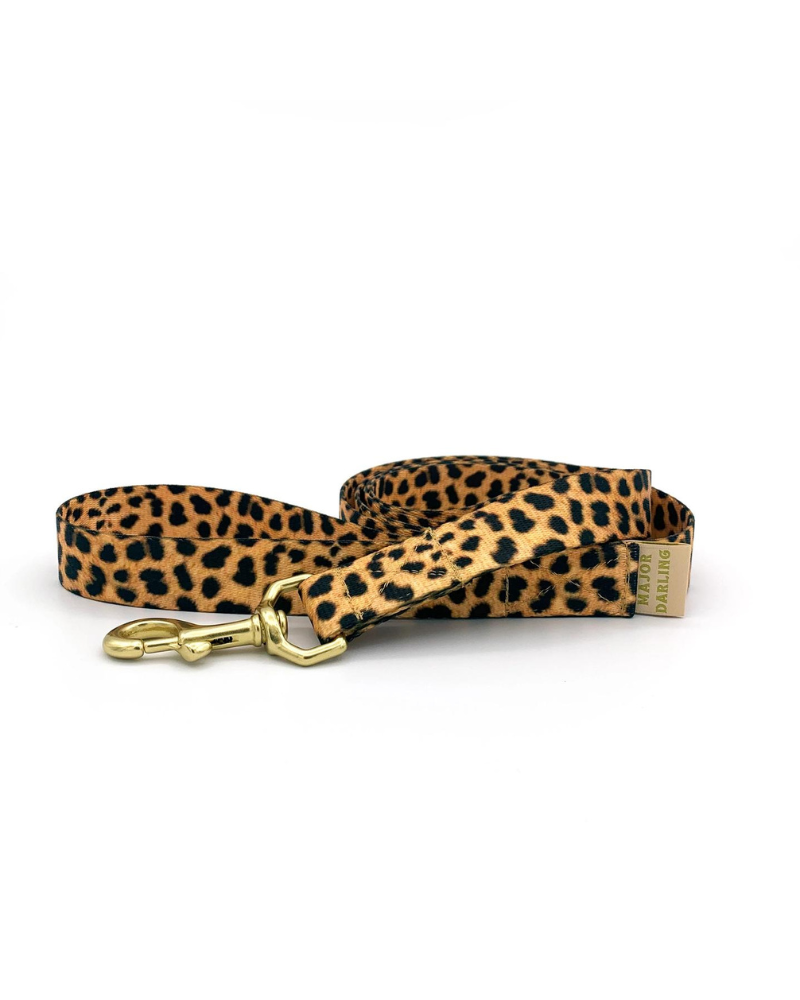 Basic Nylon Dog Leash in Leopard (Made in the USA) WALK MAJOR DARLING   