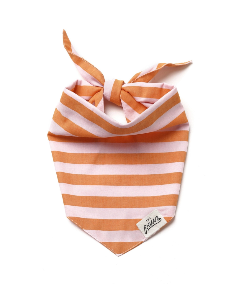 Nusa Striped Dog Bandana Wear THE PAWS