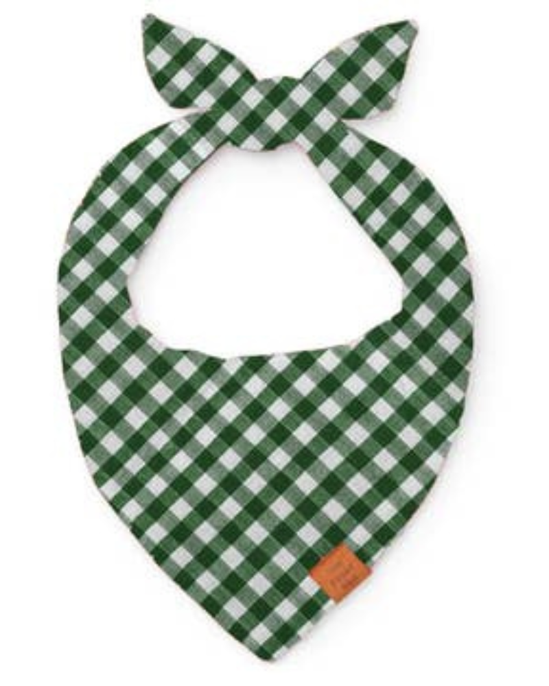 Mini Gingham Hunter Green Dog Bandana (Made in the USA) Wear THE FOGGY DOG   