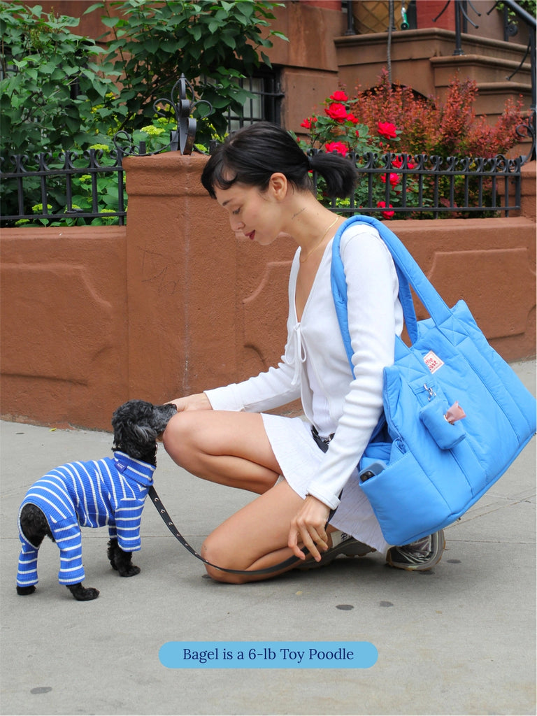 The Little Beast Dog Carrier in Baby Carry LITTLE BEAST   