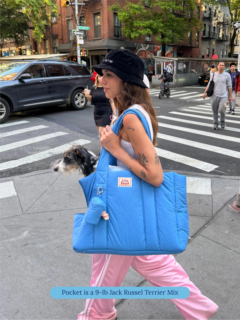 The Little Beast Dog Carrier in Baby Carry LITTLE BEAST   