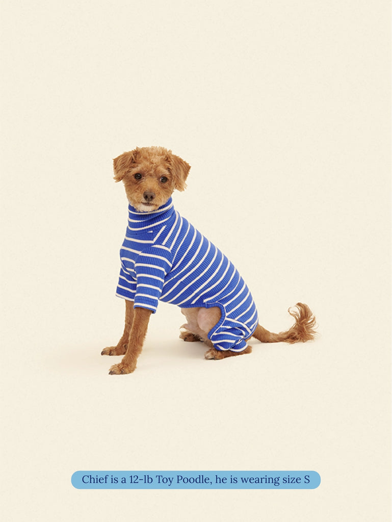 Greek to Me Dog Onesie Wear LITTLE BEAST   