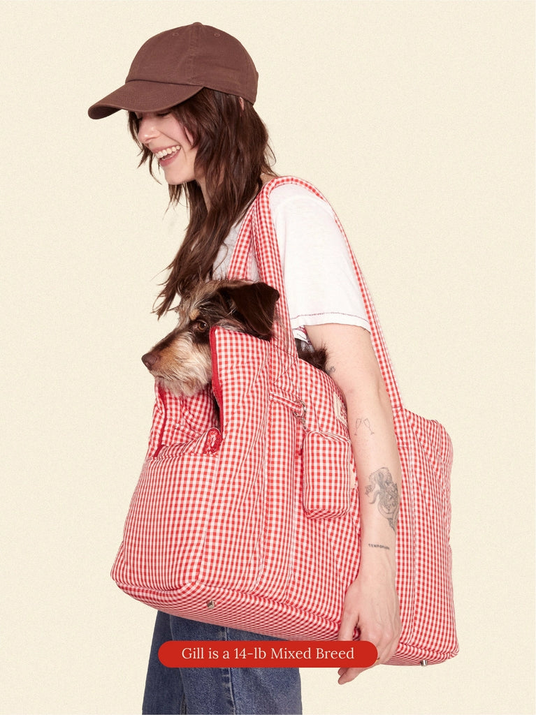 The Little Beast Dog Carrier in Strawberry Carry LITTLE BEAST   