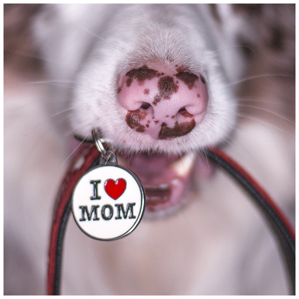 I Love Mom Custom Circle Pet ID Tag Wear MY FAMILY   