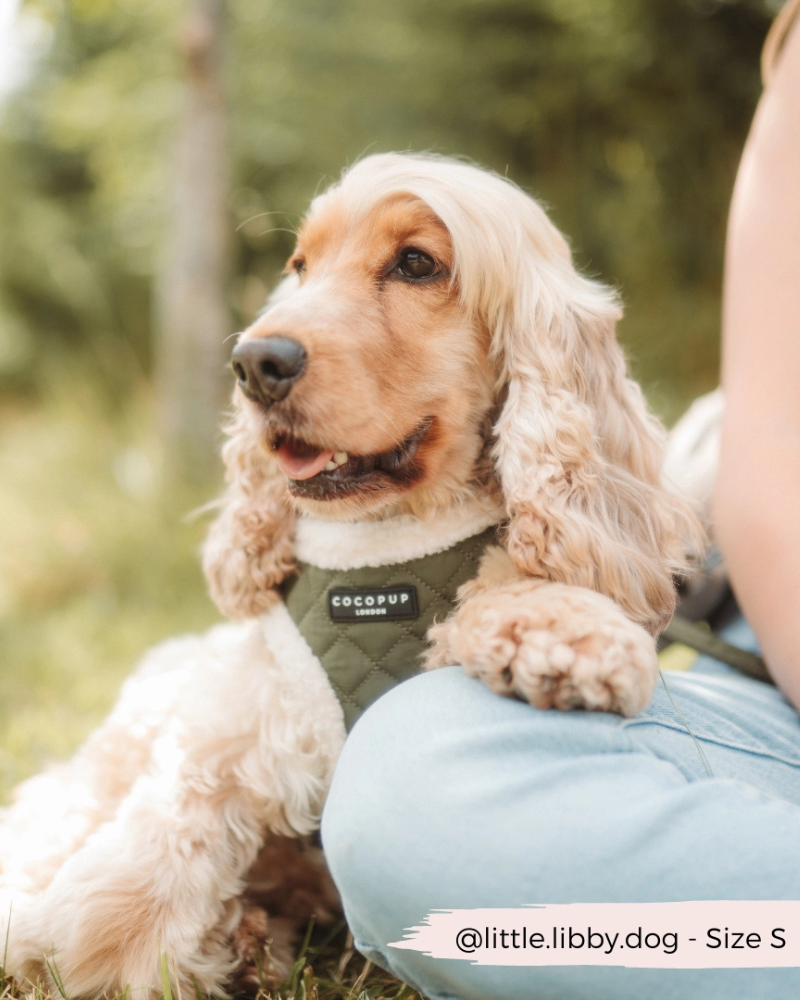 Quilted Adjustable Dog Harness in Khaki WALK COCOPUP LONDON