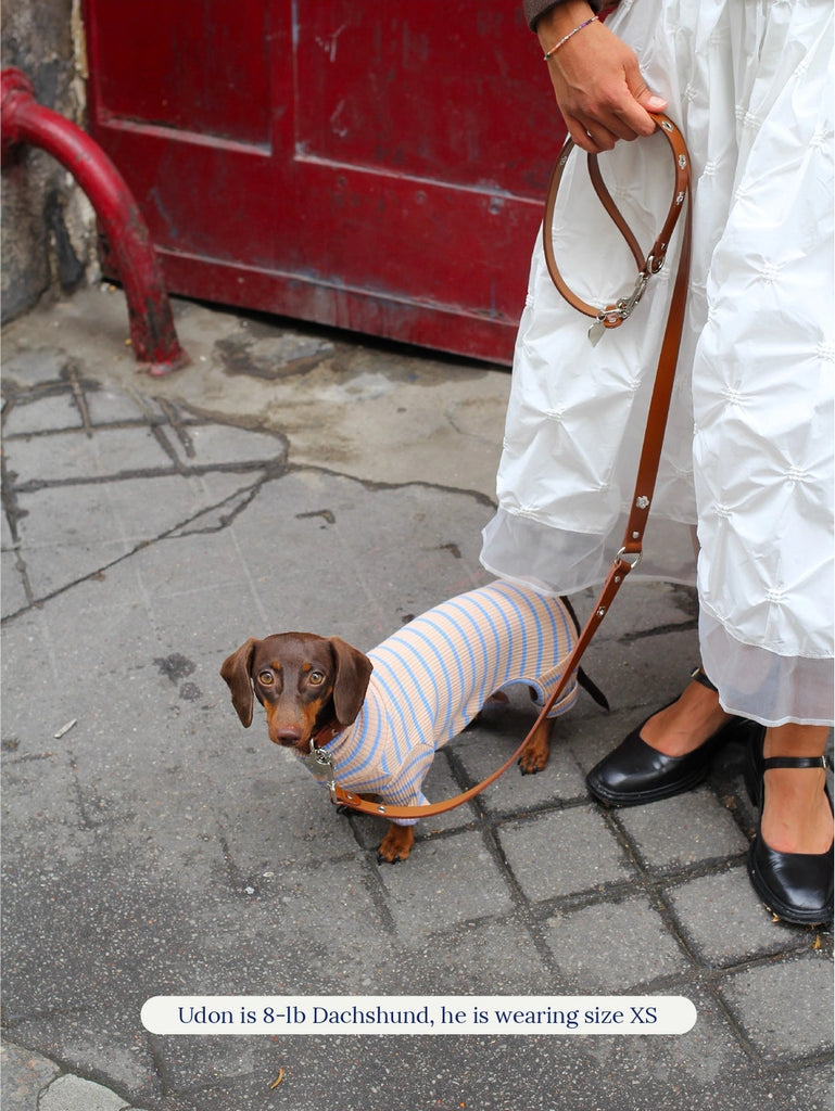 Catch Me Outside Dog Onesie Wear LITTLE BEAST   