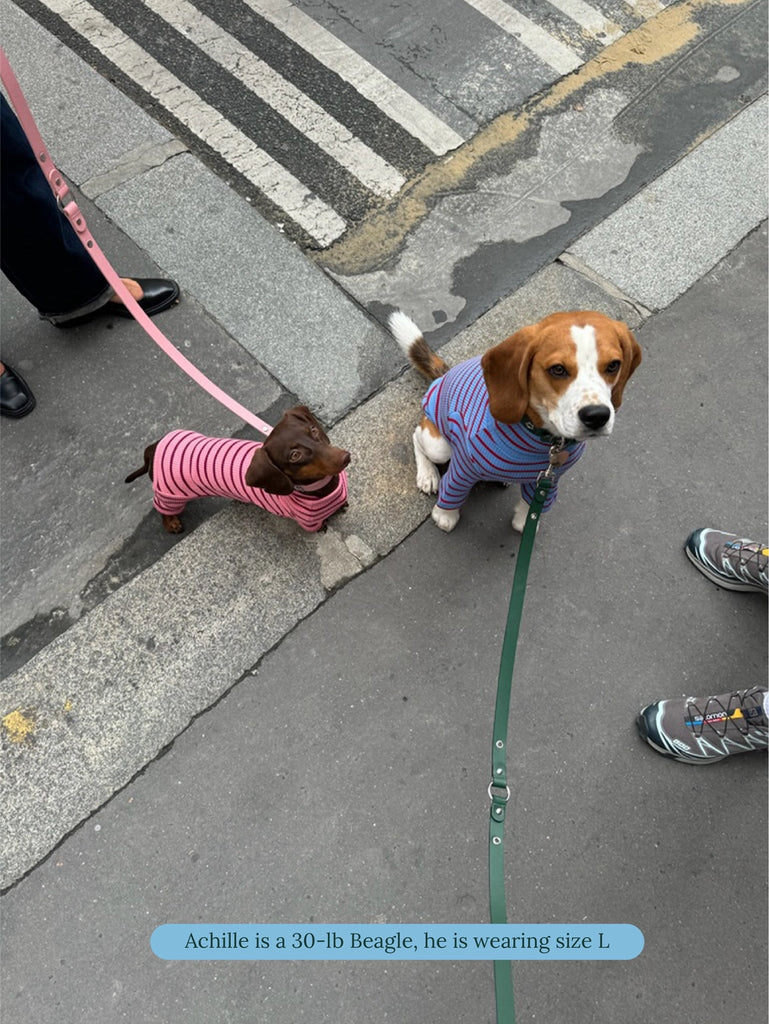 Student Loan Dog Shirt Wear LITTLE BEAST   