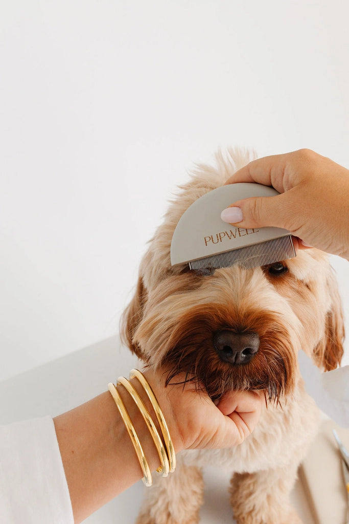 Detailer Comb for Dogs Clean PUPWELL   