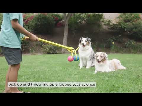 Hive Zoomer Launcher & Looped Ball Dog Toy (Made in the USA) PLAY PROJECT HIVE PET COMPANY