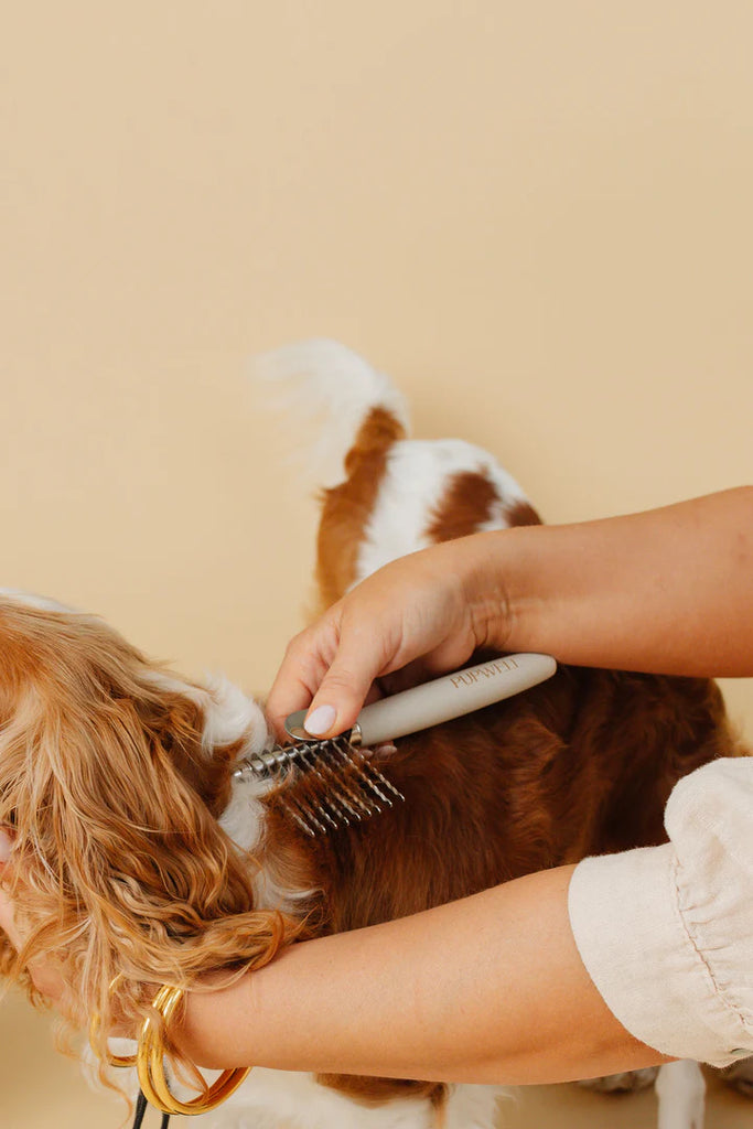 The Detangler Comb for Dogs Clean PUPWELL   