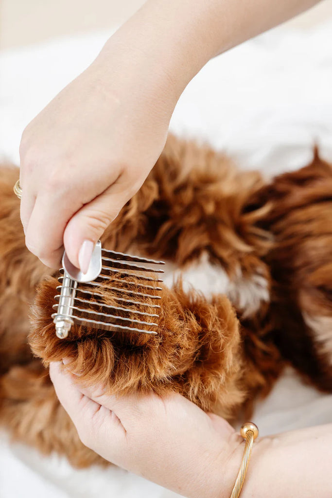 The Detangler Comb for Dogs Clean PUPWELL   