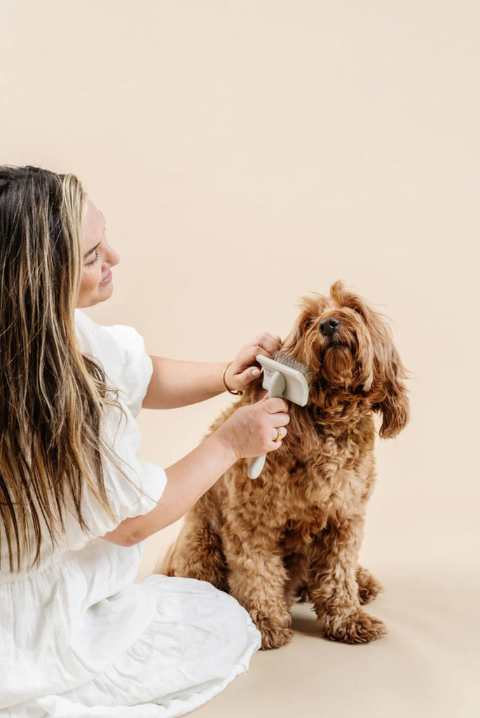 Everyday Slicker Brush for Dogs HOME PUPWELL