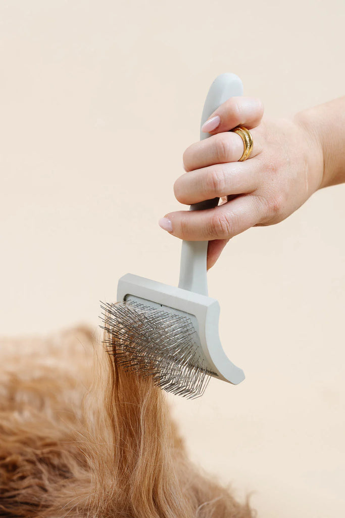 Everyday Slicker Brush for Dogs HOME PUPWELL