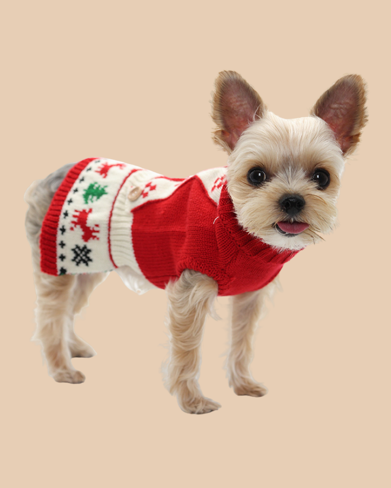 Jolly Sweater Dog Dress, X-Small