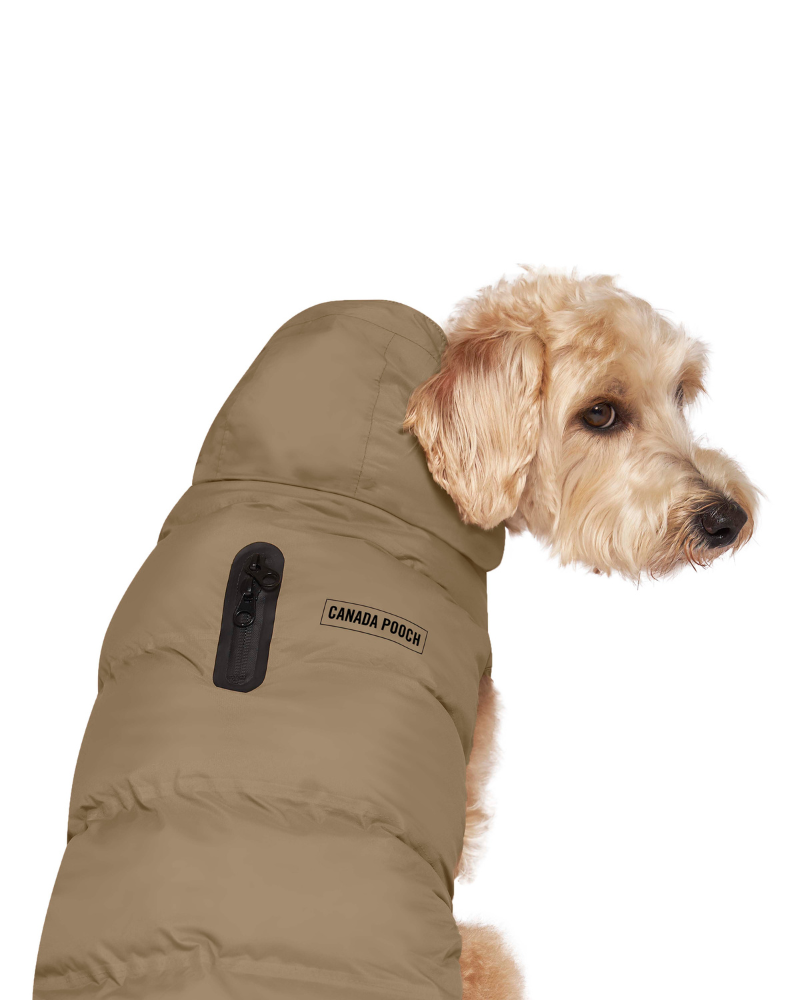 CANADA POOCH Insulated Waterproof Dog Puffer DOG CO