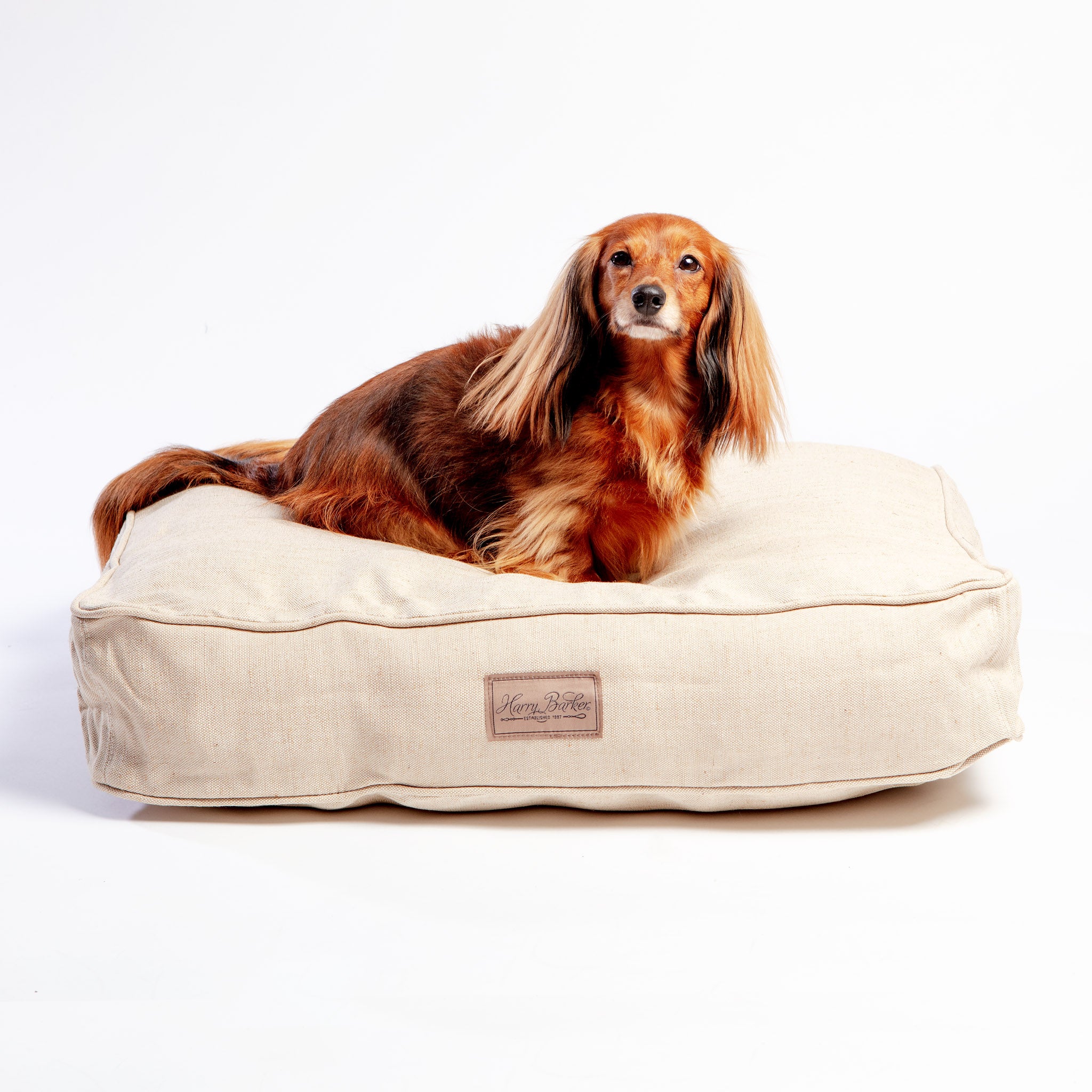 Harry barker dog bed best sale