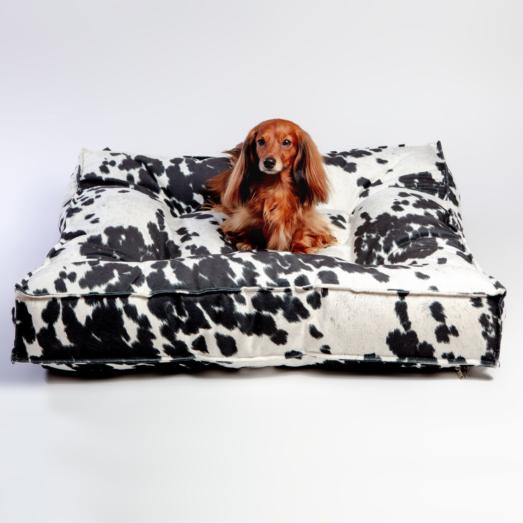 Fashion thro by marlo lorenz dog bed