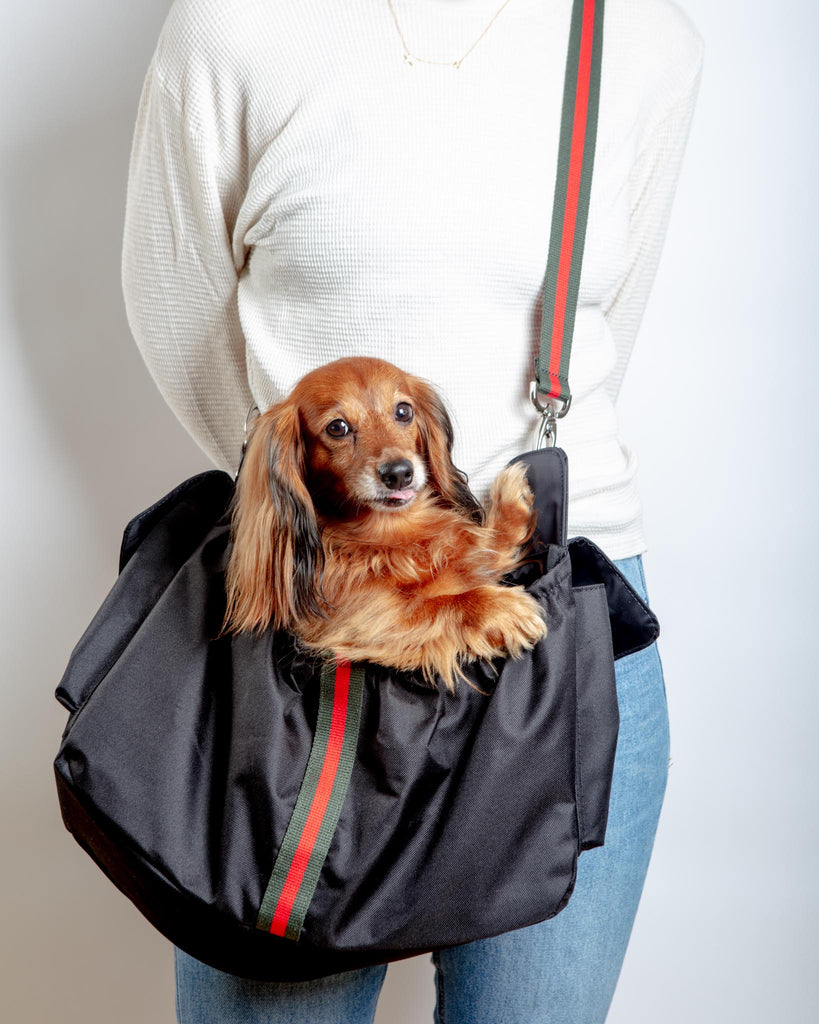  Slow Time Shop Large Transport Bag Fashion Dog Carrier