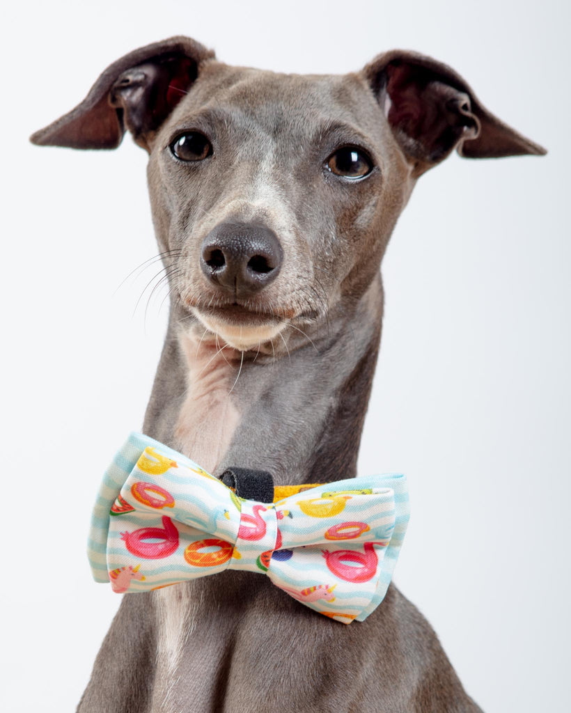 Summer Floats Dog Bow-Tie<br>(Made in the USA) (FINAL SALE) wear PAWTIES   